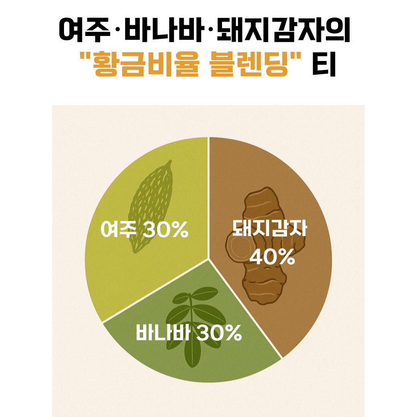 돼지감자차 여주차 여주 바나바 돼지감자 효능 물대신 티백 2세트 80개 이미지 7
