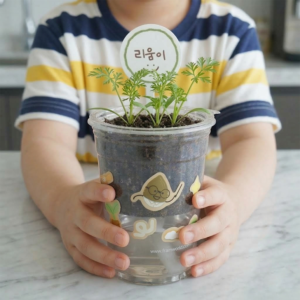 당근 씨앗 키우기 식물키트 저면관수 이미지 7