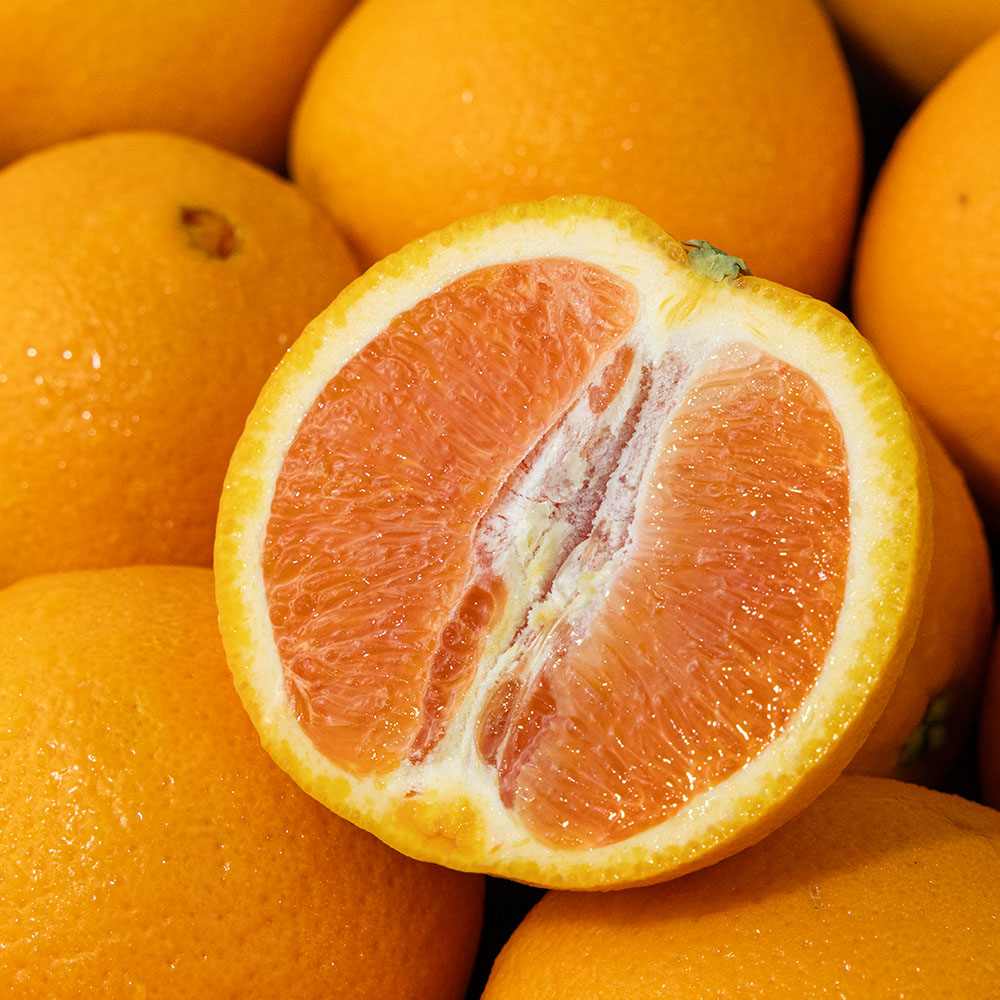프리미엄 네이블 카라카라 오렌지 고당도 핑크과육 명품 오렌지 - 상세 이미지 5