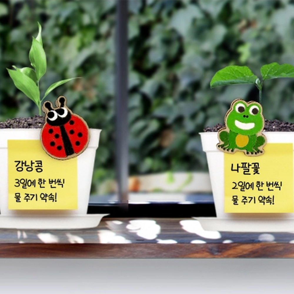 마그네틱 만들기체험 목재클립공예 방과후수업 봄학기수업 집게DIY 나무집게꾸미기 4종세트 - 상세 이미지 4