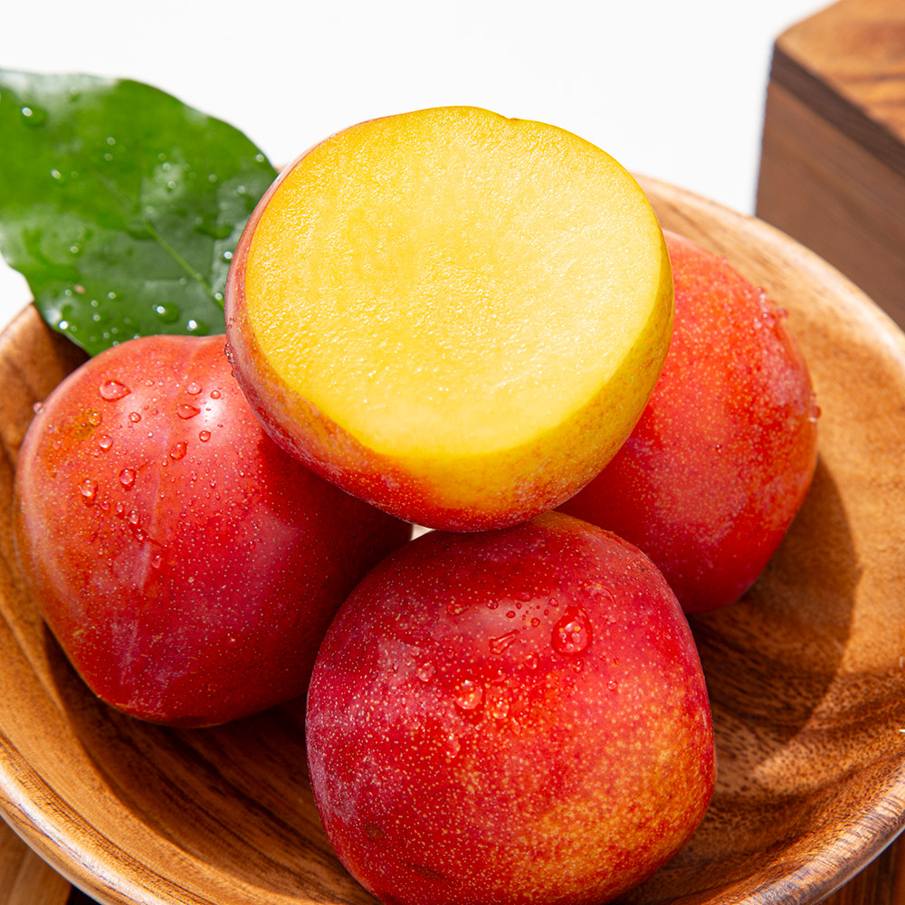 경북 햇 자두 후무사 추희 도담 고당도 산지직송 1kg 2kg 3kg - 상세 이미지 2