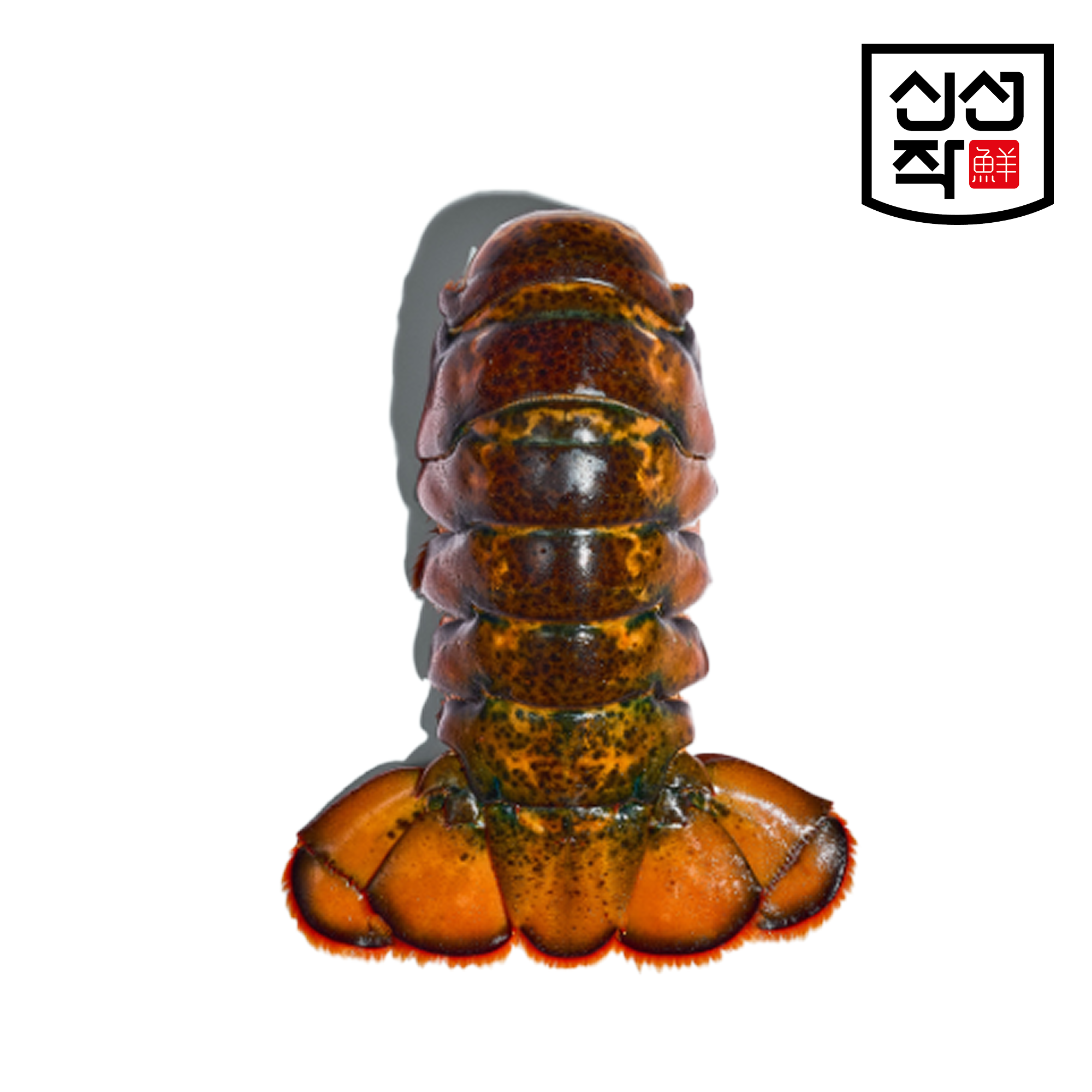 [신선작] 냉동 랍스터 테일 4oz, 110g - 상세 이미지 4