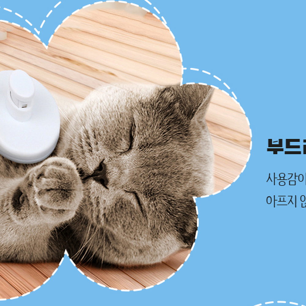원터치털관리반려동물빗 죽은털제거그루밍애견빗 블루컬러브러싱고양이빗 - 상세 이미지 4