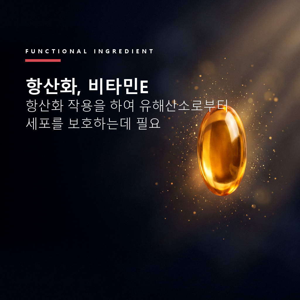 홍국트리오 메가 중성지방 콜레스테롤 낮추는 HDL LDL 홍국 60정, 1개 - 상세 이미지 5