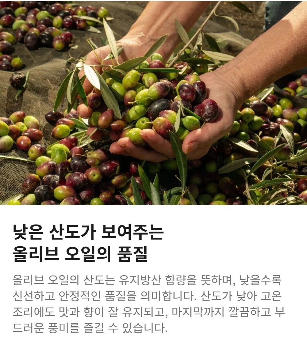 와이즐리 엑스트라버진 올리브유 PDO/산도 0.3% 1L, 3개 - 상세 이미지 3