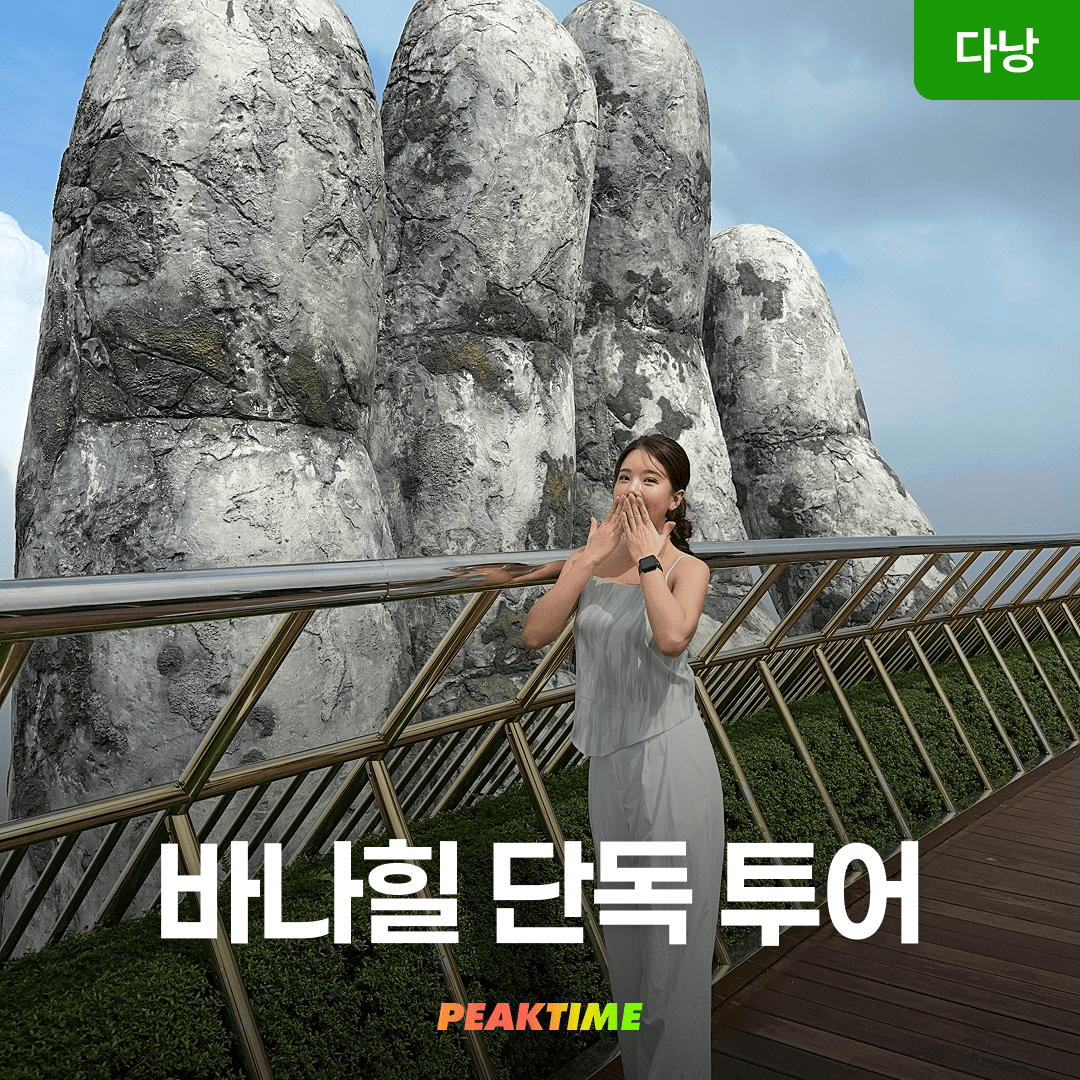 다낭 바나힐 단독투어 입장권 케이블카