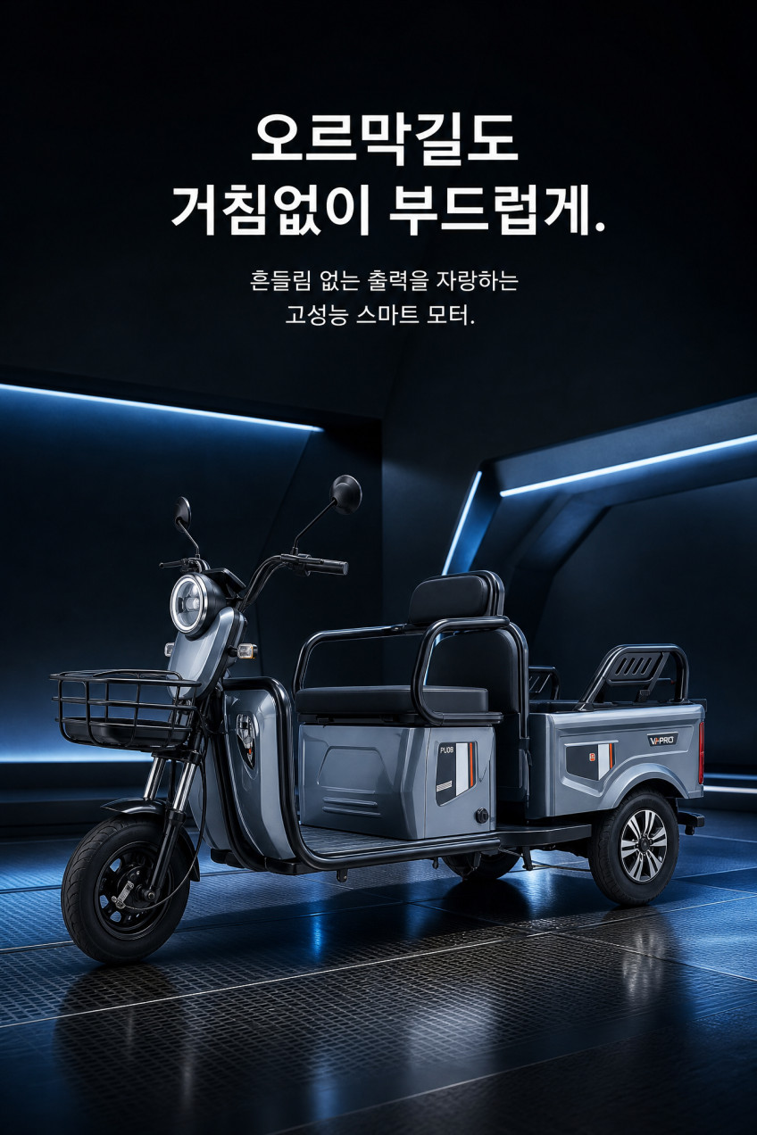 엘트라이드 튼튼한 전기 삼륜 스쿠터 픽업 2인용 전동 바이크 세발 오토바이 삼발이 판매처 상세 정보 이미지 4
