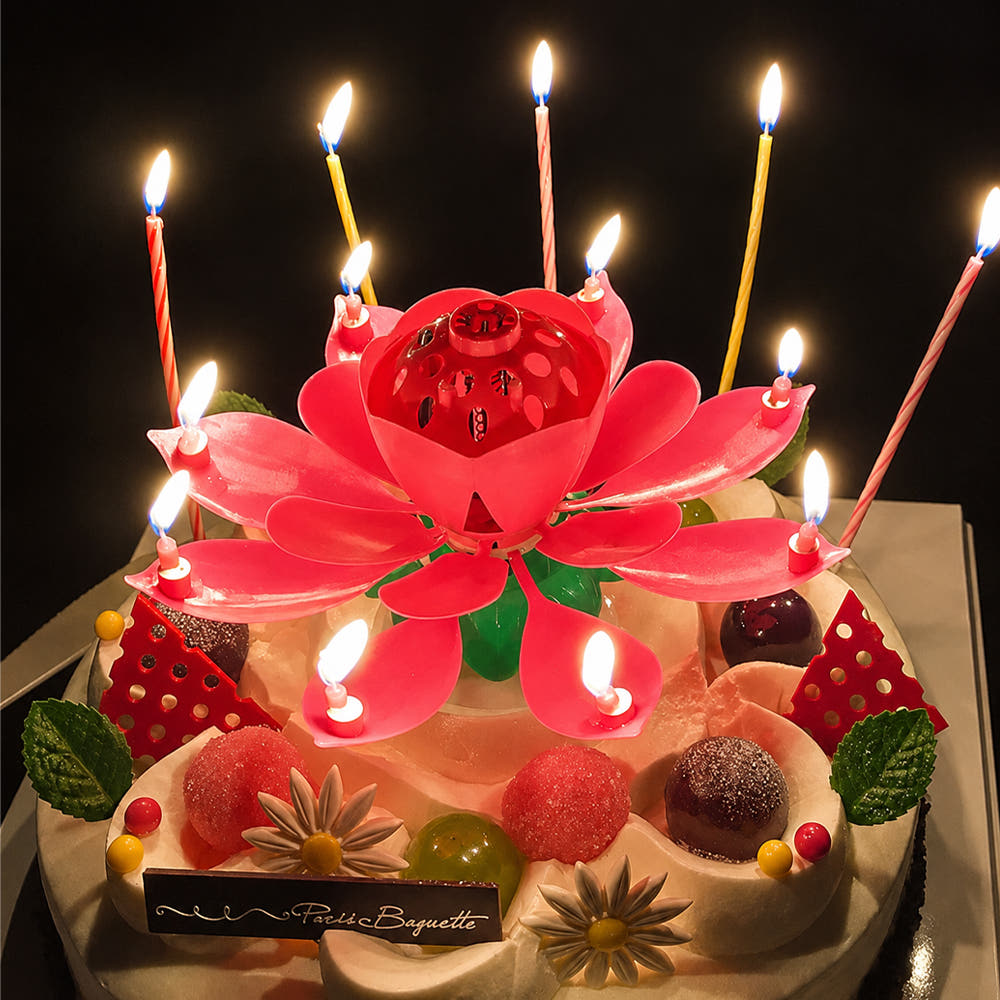 스토리빙 생일축하 회전 멜로디 케이크 생일초 연꽃초 가격 비교 스토리빙 스토리빙 생일축하 회전 멜로디 케이크 생일초 연꽃초