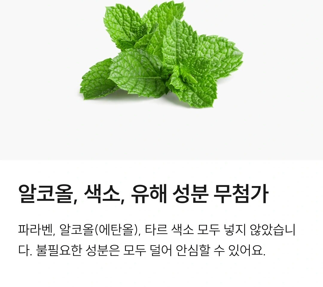 와이즐리 쿨민트 항균 가글 800ml, 3개 - 상세 이미지 4