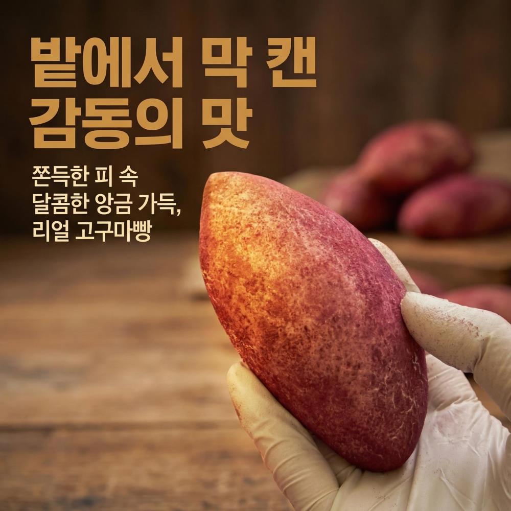 [바이블룸]찹쌀 고구마빵 10개입(보냉백) / 어린이 영양간식 식사대용 - 상품 이미지