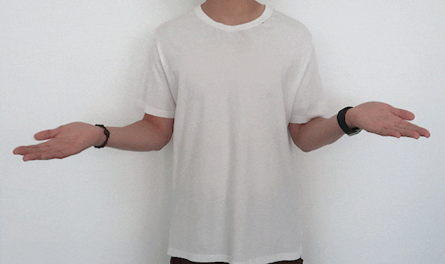DGSDG_(3).gif