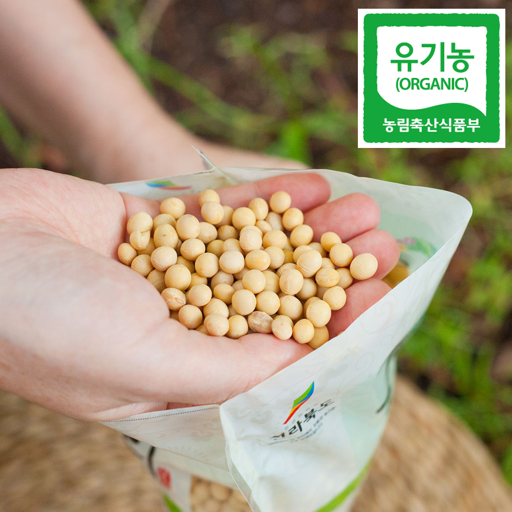 유기농 백태콩 메주콩 국산 백태 두부콩 두유콩 500g - 메인 이미지