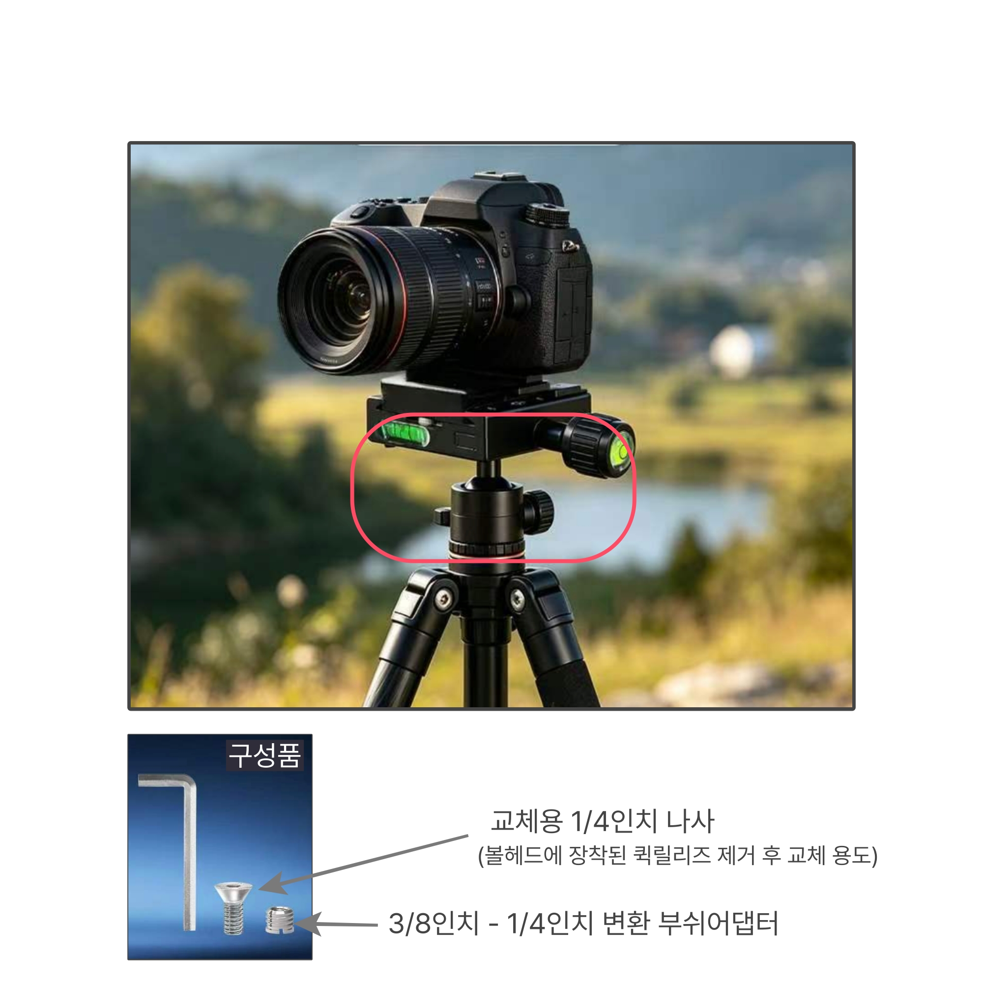 퀵릴리즈 도브테일 베이스 클램프 DBC50 (알카스위스 타입 / 대형 삼각대 장착용) - 상세 이미지 5