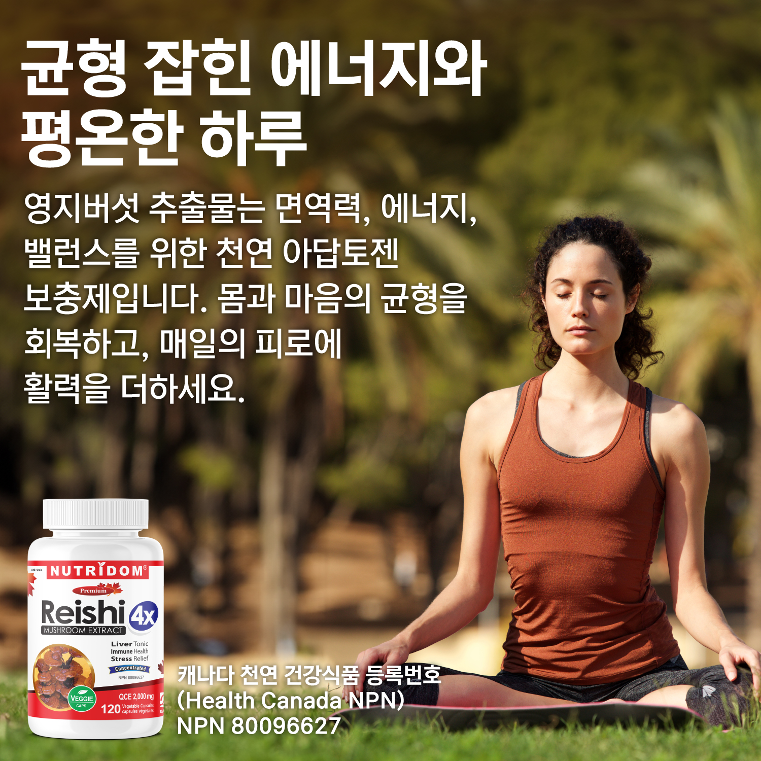 (2팩세트) 뉴트리돔 영지버섯 4배농축 추출물 2000QCE 베타글루칸 120캡슐 N330 이미지 8