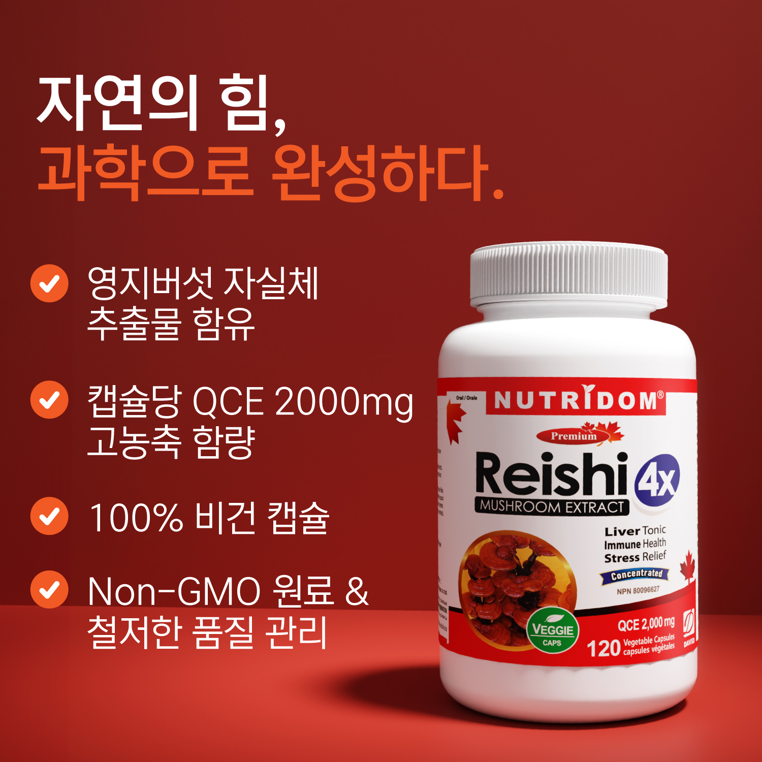 (2팩세트) 뉴트리돔 영지버섯 4배농축 추출물 2000QCE 베타글루칸 120캡슐 N330 이미지 7
