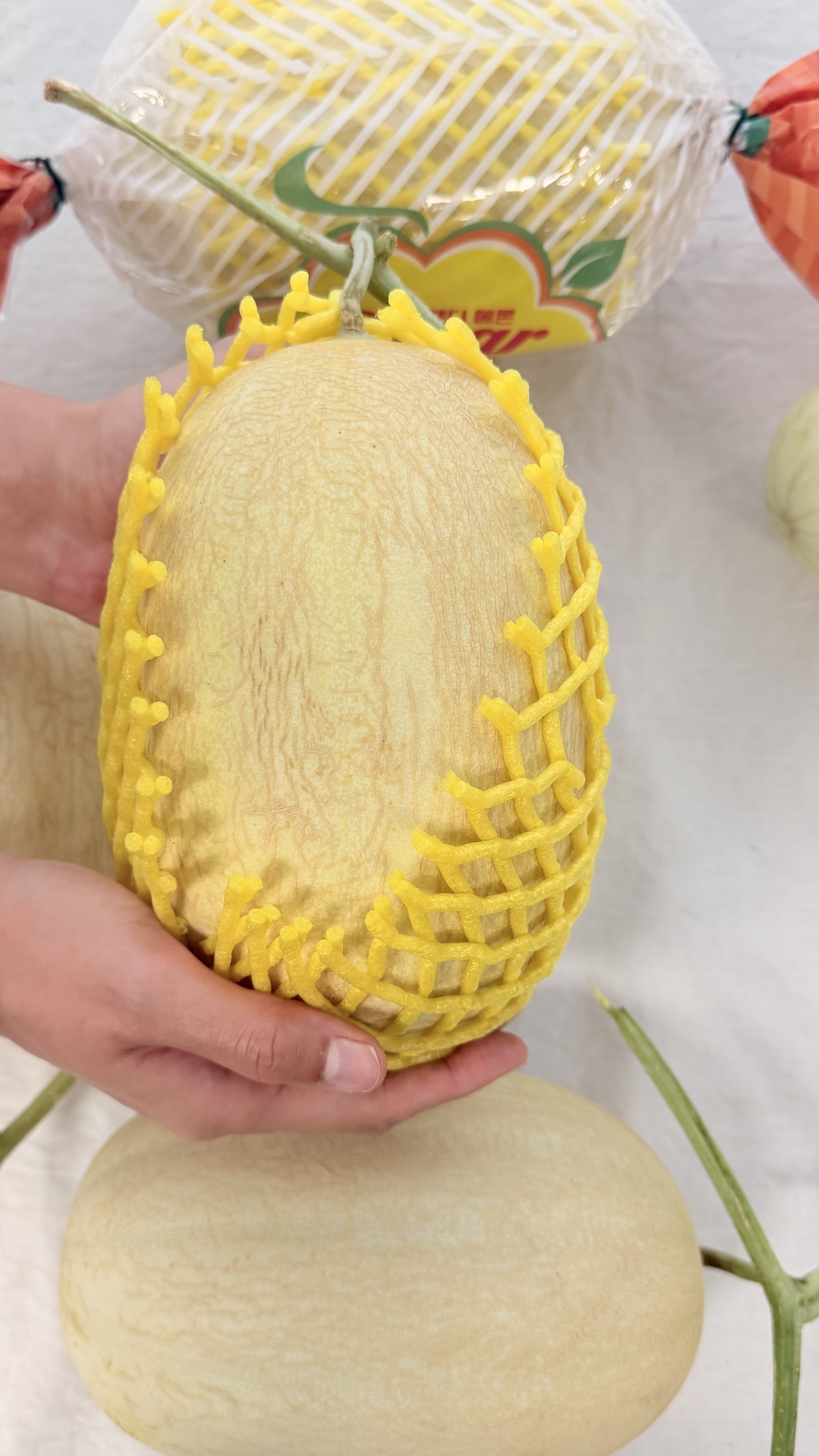 신선마켓 솜사탕메론 캔디멜론 1.4kg, 1개 이미지 6