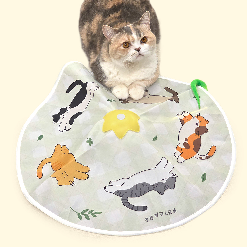 펫케어 고양이 자동 장난감 움직이는 사냥놀이 캐치스타 - 상세 이미지 5