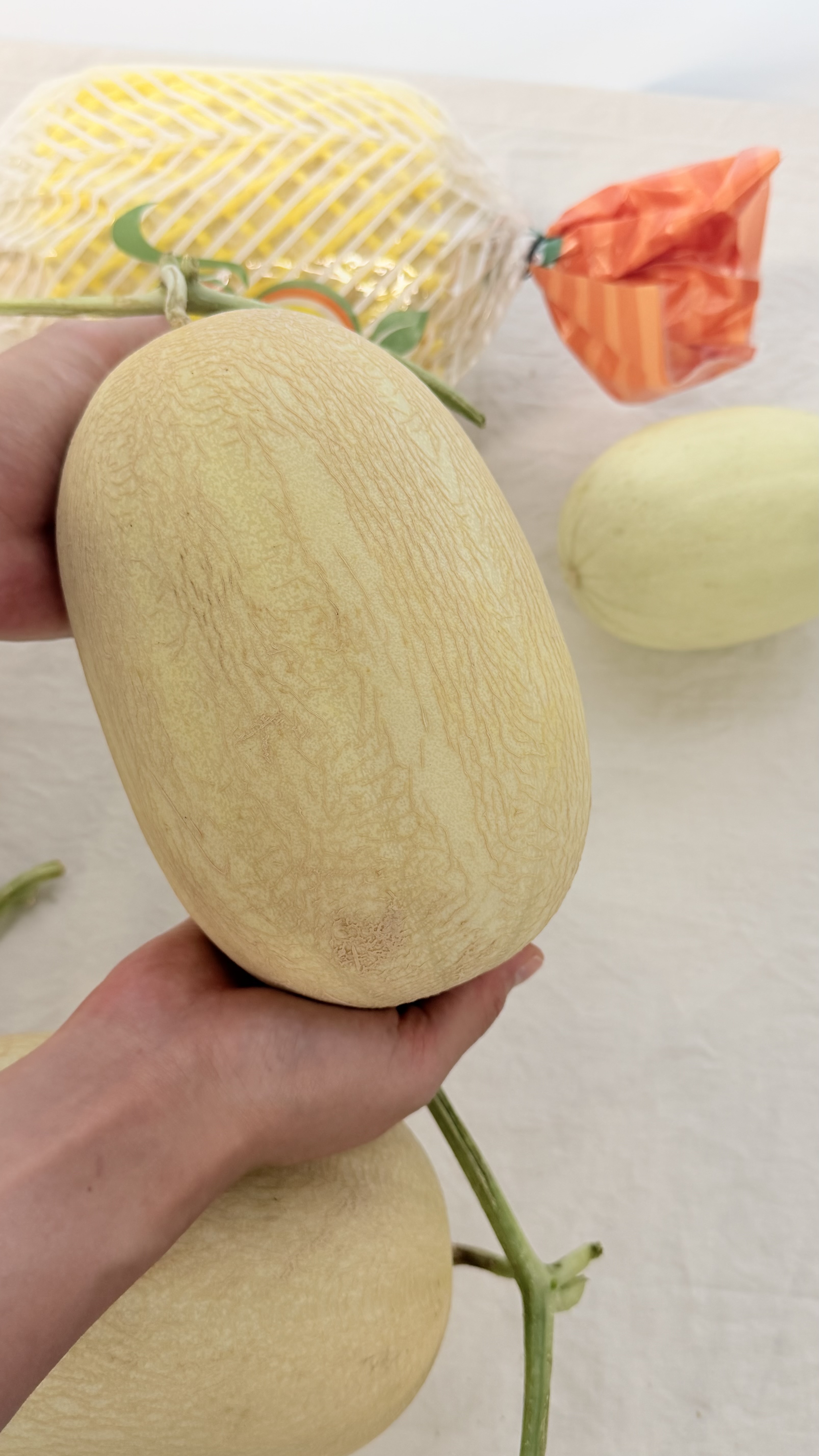 신선마켓 솜사탕메론 캔디멜론 1.4kg, 1개 이미지 7
