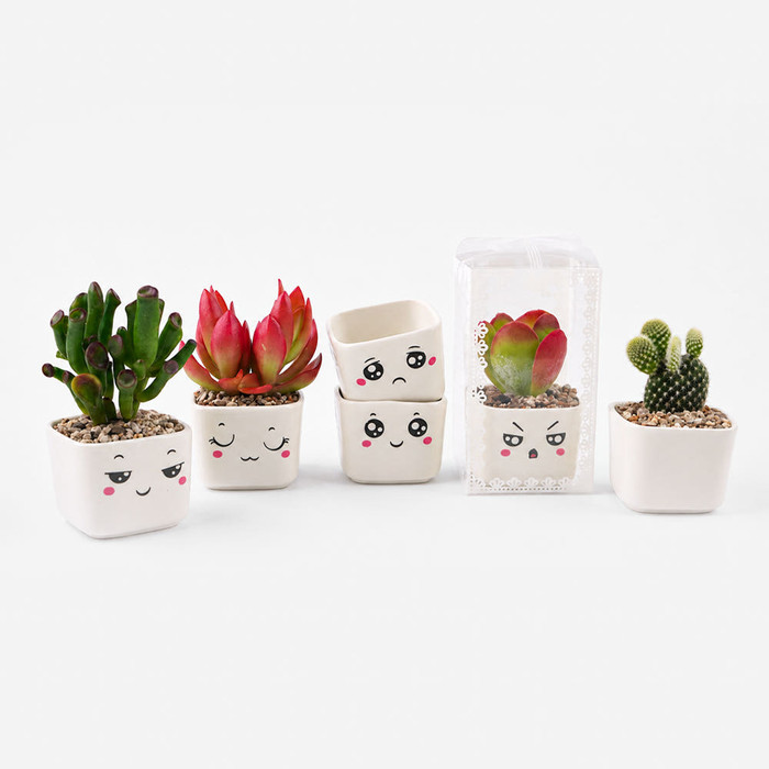 [3개 세트] 미니 다육이 꾸미기 세트 DIY 키트 다육식물 키우기 랜덤 패키지 플랜테리어 데스크테리어 식집사 시크릿가드닝 - 상세 이미지 5