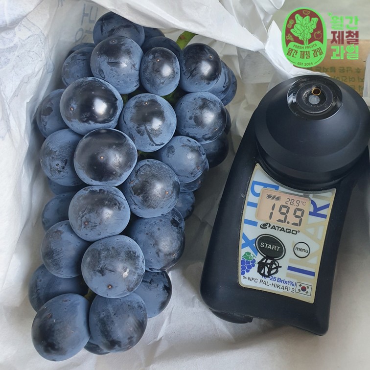 남원 흥부골 충랑포도 제철 영동포도 김천 샤인머스켓 씨없는포도 1.5kg 2kg - 상세 이미지 2