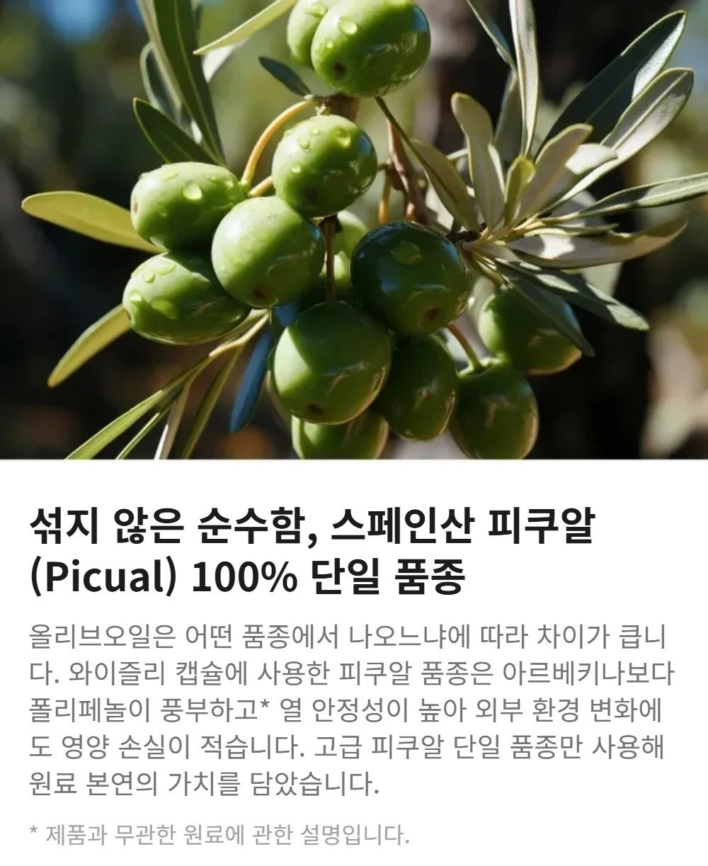 와이즐리 스페인 올리브오일 엑스트라버진 식물성 캡슐 1000mg 30정, 3개 이미지 6