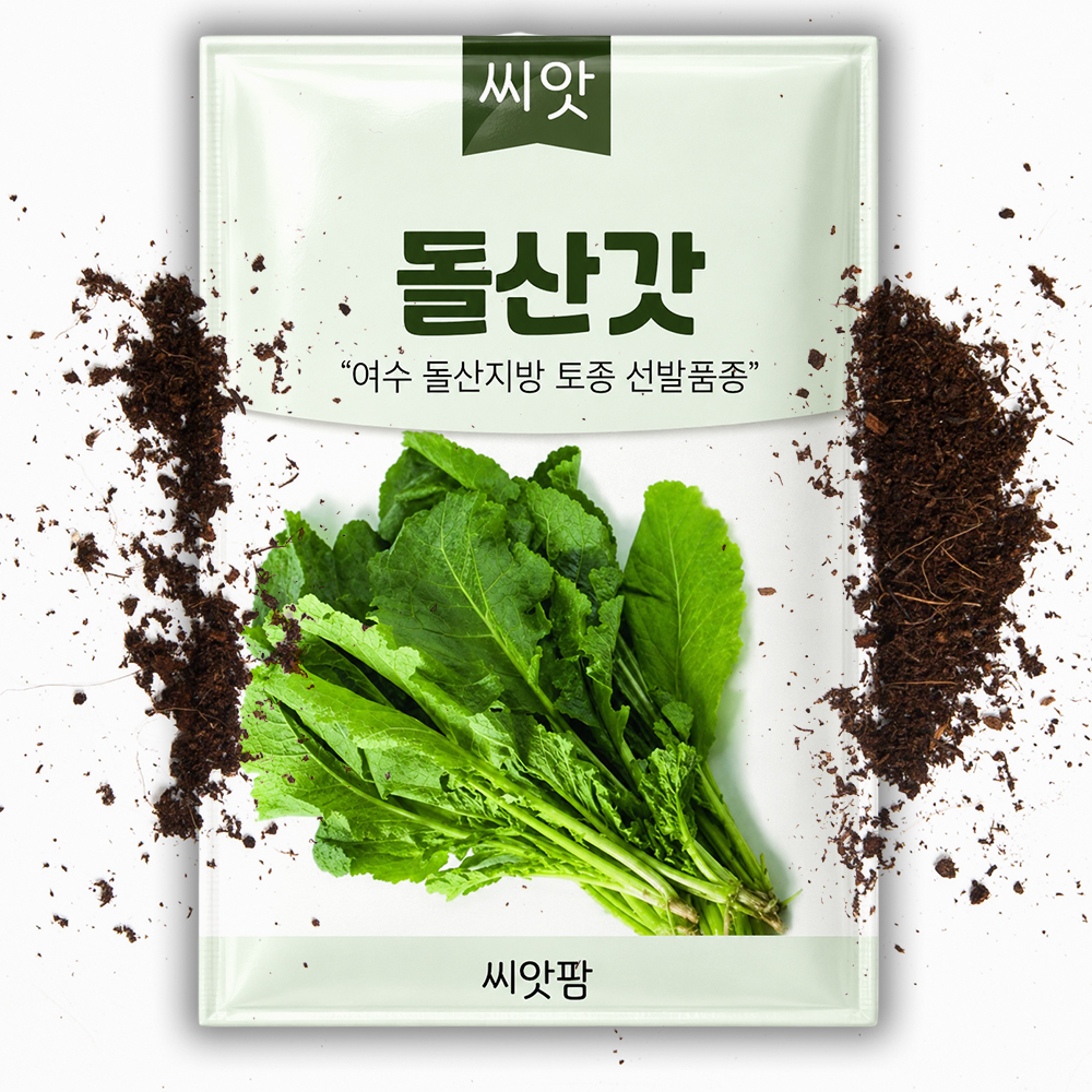 돌산갓 씨앗 10g 씨앗 김장 종자 - 상품 이미지