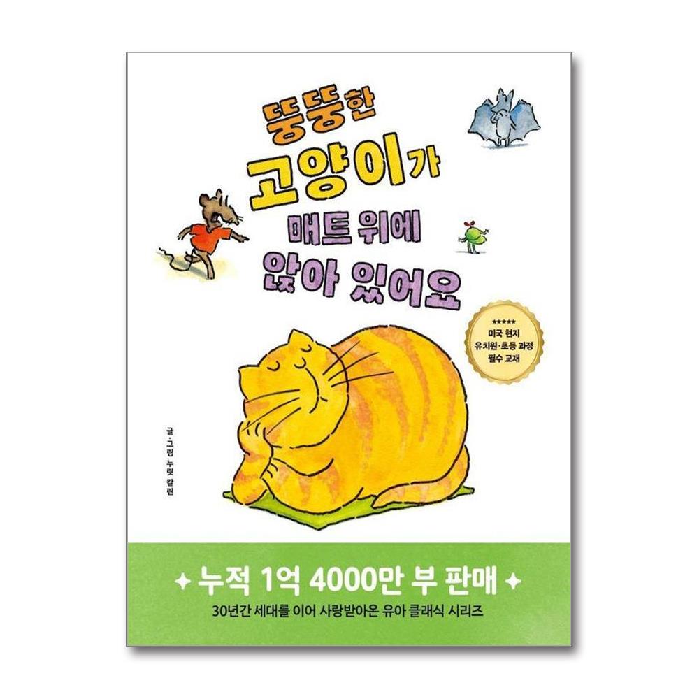 뚱뚱한 고양이가 매트 위에 앉아 있어요