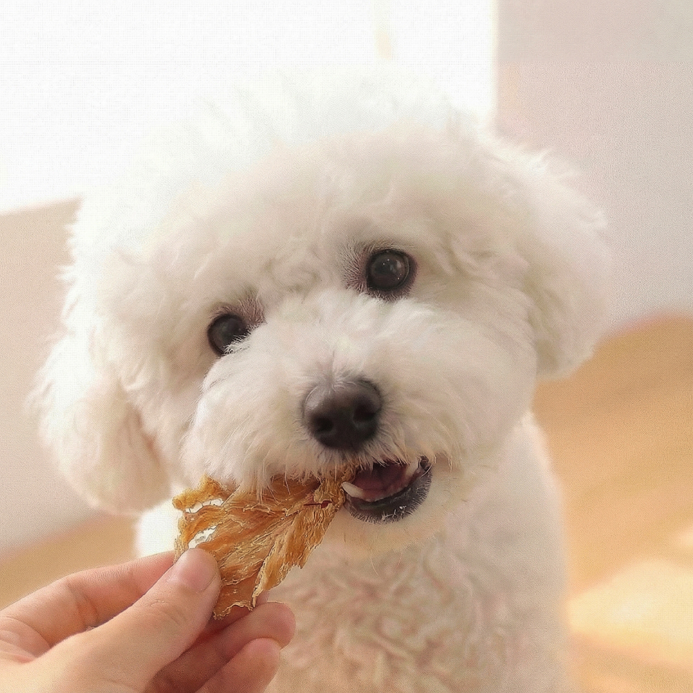 [도그말리온] 강아지 대용량 국내산 무첨가 간식 닭가슴살, 300g, 1개 - 상세 이미지 4