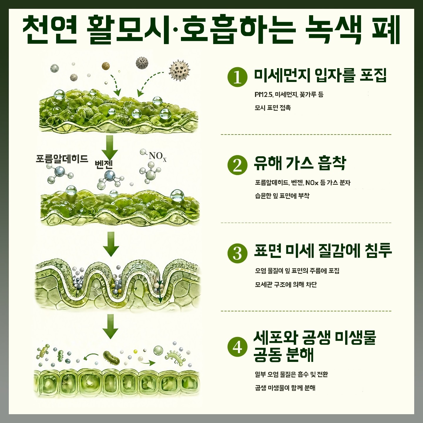 테라리움 가습기 조명 무드등 미니 초음파 무선 USB 탁상용 이끼 A. 이끼 가습기 화이트 - 상세 이미지 4