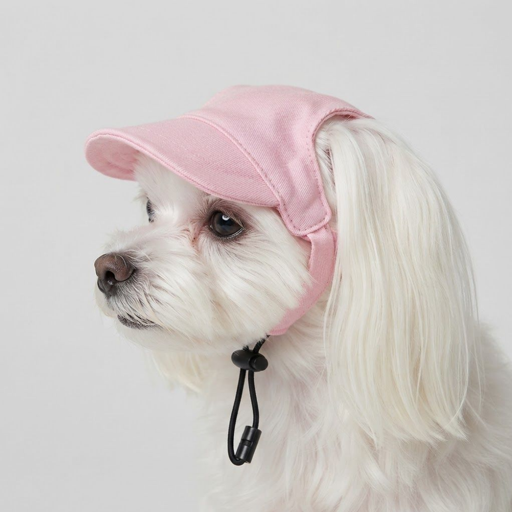 위드레오 애견모자 강아지 고양이 모자 대형견 중형견 자외선차단 그린 XS 이미지 8