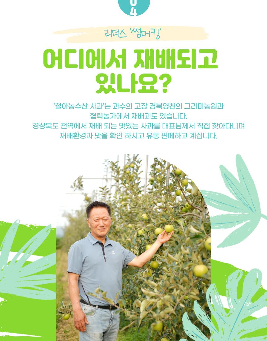 상세 5