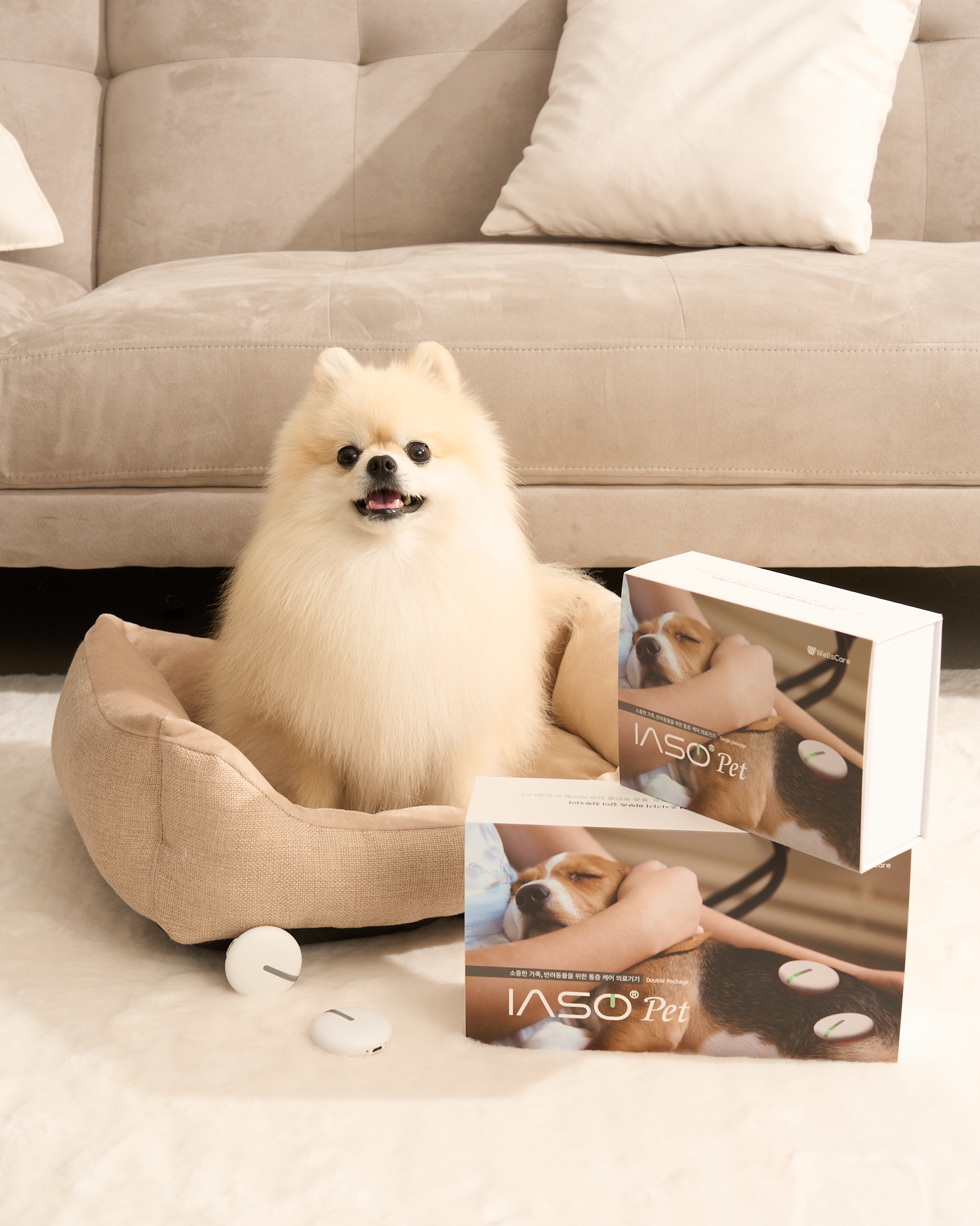 이아소펫 싱글패키지 반려동물 강아지 고양이 슬개골 저주파자극기 레이저치료기 통증 의료기기 - 상품 이미지