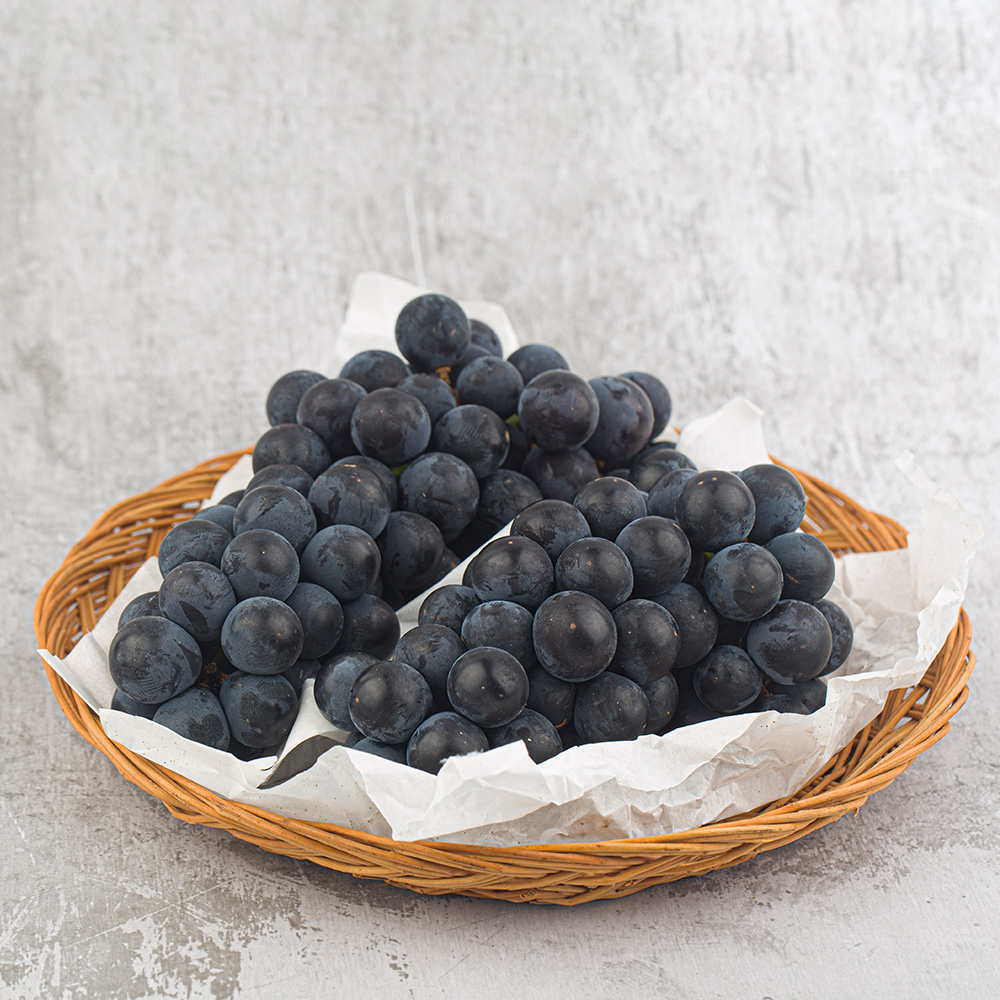 토해원 상큼한 캠벨포도 고당도 씨있는 포도 신선과일 500g 1kg 2kg - 상세 이미지 2