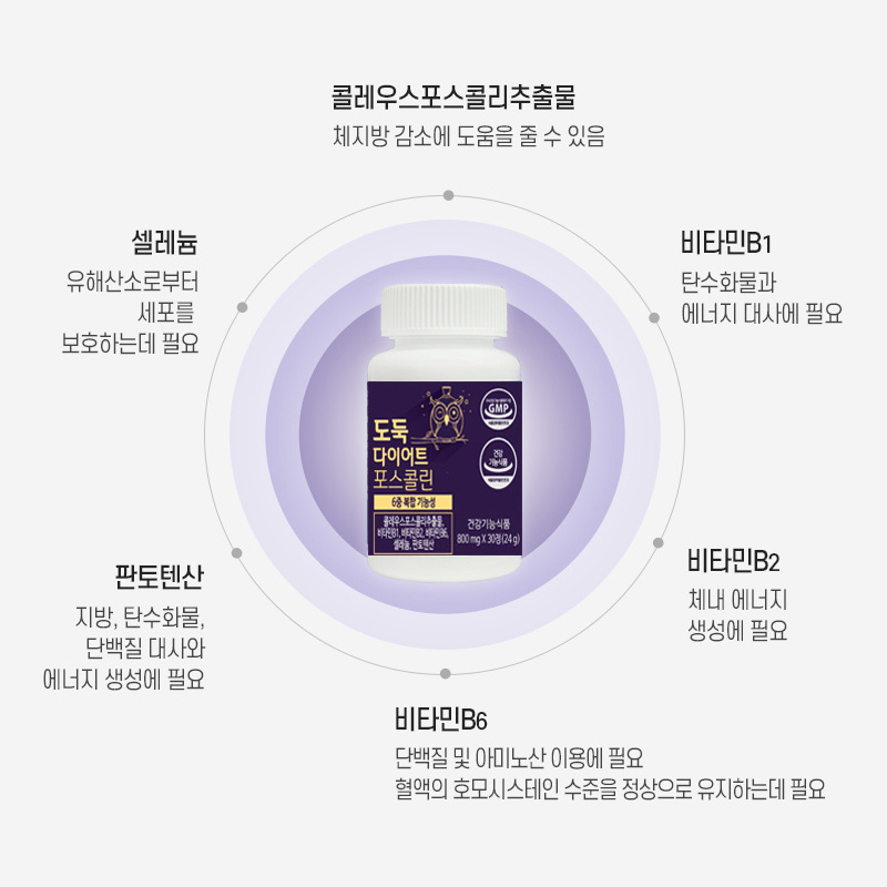 도둑 다이어트 포스콜린 수면 콜레우스포스콜리 30정, 3개 - 상세 이미지 5