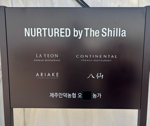 [제주신라호텔 직거래농장] 제주 국내산 프리미엄 애플망고 보자기 선물세트 농장직송 2kg 3kg - 상세 이미지 2