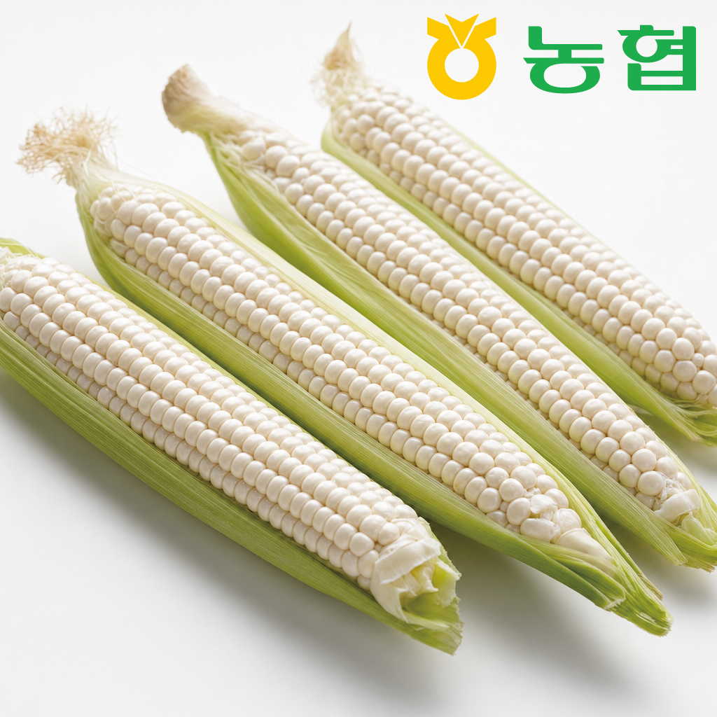 국내산 햇 미백찰옥수수 흑찰옥수수 괴산대학 찰옥수수 초당옥수수 특품 20개 30개 50개 - 상세 이미지 2