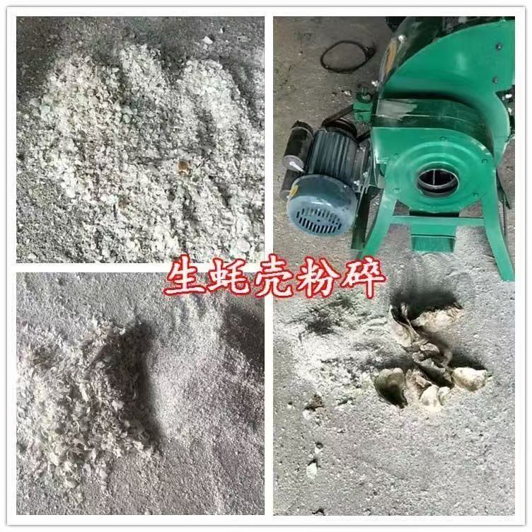 조개껍질 분쇄기 닭뼈 가는 기계 굴 껍질 생선 새우 사료 320 모델 (2.2KW 200-300kg/h - 상세 이미지 2
