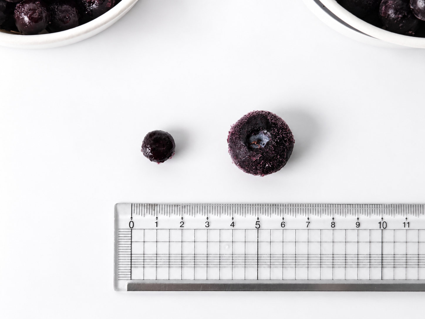 냉동 블루베리 1kg, 10개 - 상세 이미지 5