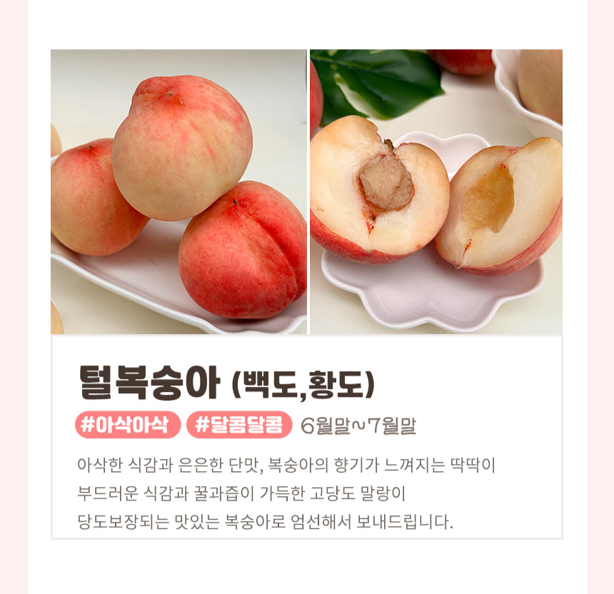 장호원 햇사레복숭아 감곡 딱복 딱 딱딱이복숭아 딱딱한 차돌 망고복숭아 물복숭아 신비복숭아 - 상세 이미지 3