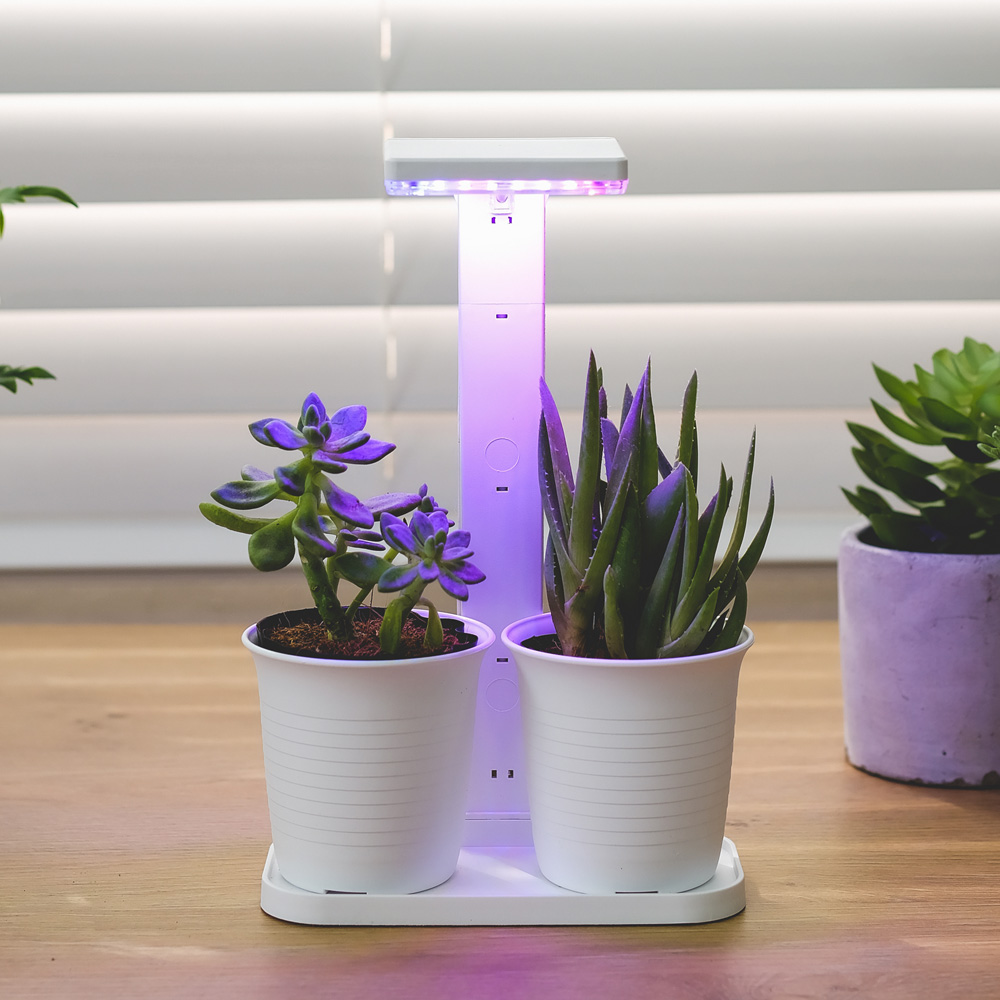삼성 MSM 365플러스 360정 부모님 관절건강 반려식물 LED 식물등 호관원 - 상세 이미지 4