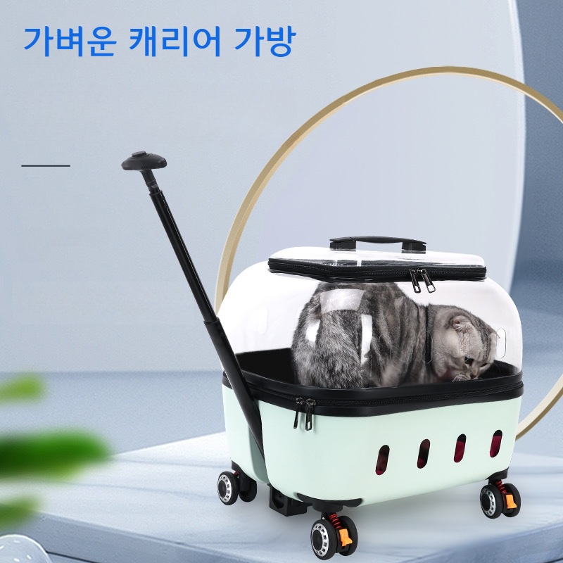 고양이 이동장 바퀴형 투명 캐리어 여행용 휴대용 그린 - 상세 이미지 3
