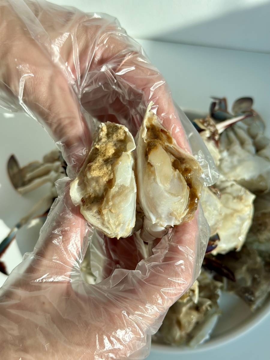 급냉 국내산 손질꽃게 암수랜덤 대형마트판매 고품위-800g 이미지 7