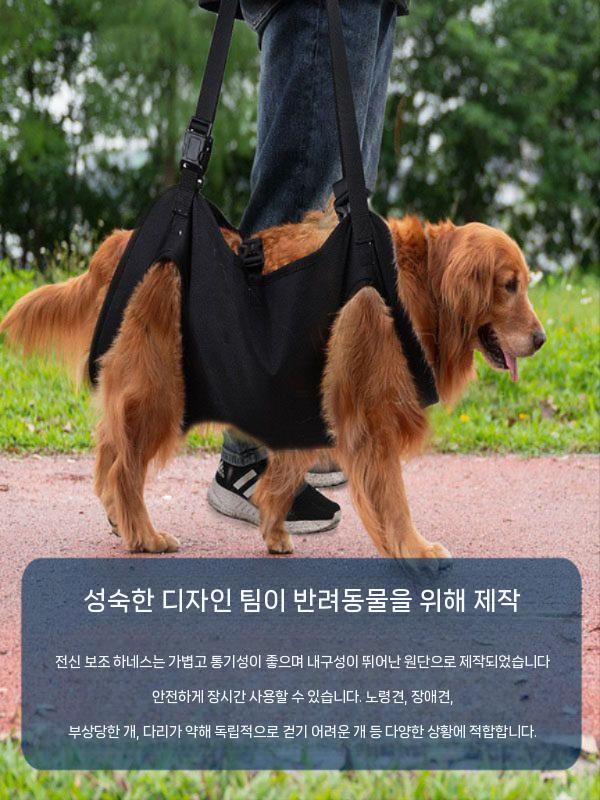 노견 강아지 하네스 전신견인 대형견 보조벨트 산책 M - 상세 이미지 4