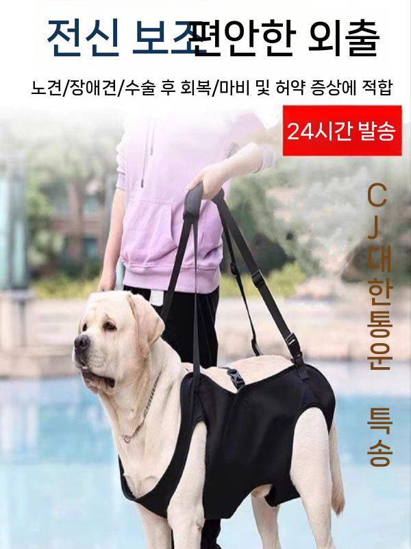 노견 강아지 하네스 전신견인 대형견 보조벨트 산책 M - 상세 이미지 3