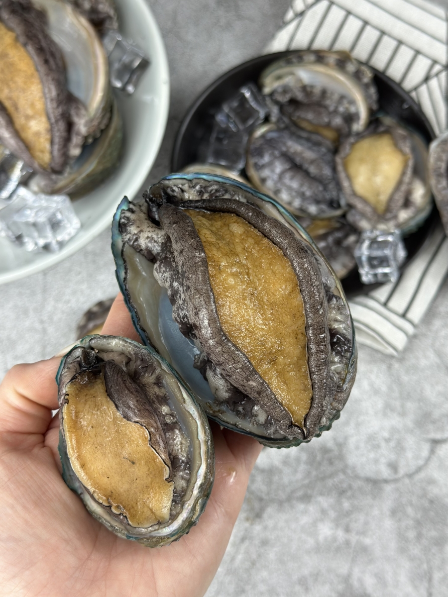 완도 활전복 해수 산소포장 손질솔포함 VIP우대가 2kg(44-50미) 외 이미지 6