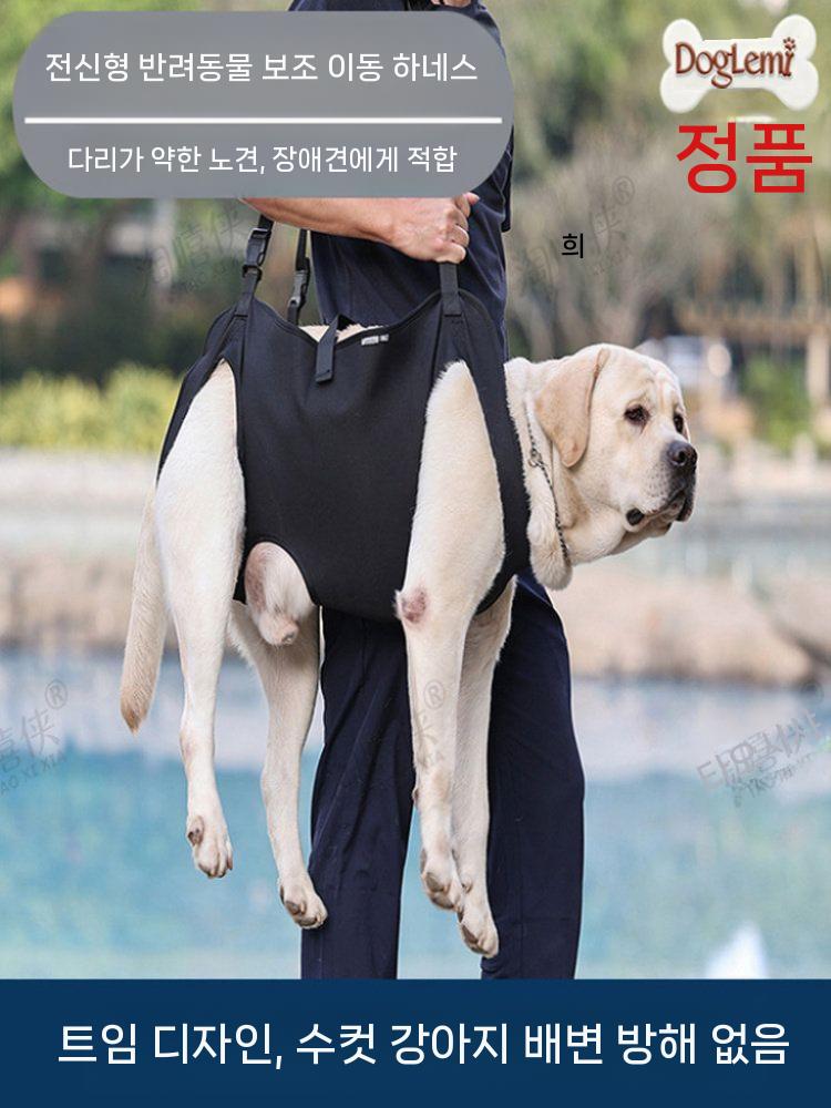 노견 강아지 하네스 전신견인 대형견 보조벨트 산책 M - 상세 이미지 2