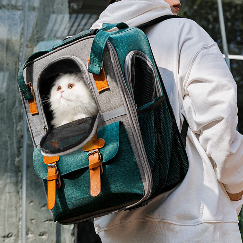 링비츠 반려동물 이동가방 강아지 고양이 백팩 메쉬창 캐리어 외출가방 기내가방 - 상세 이미지 5
