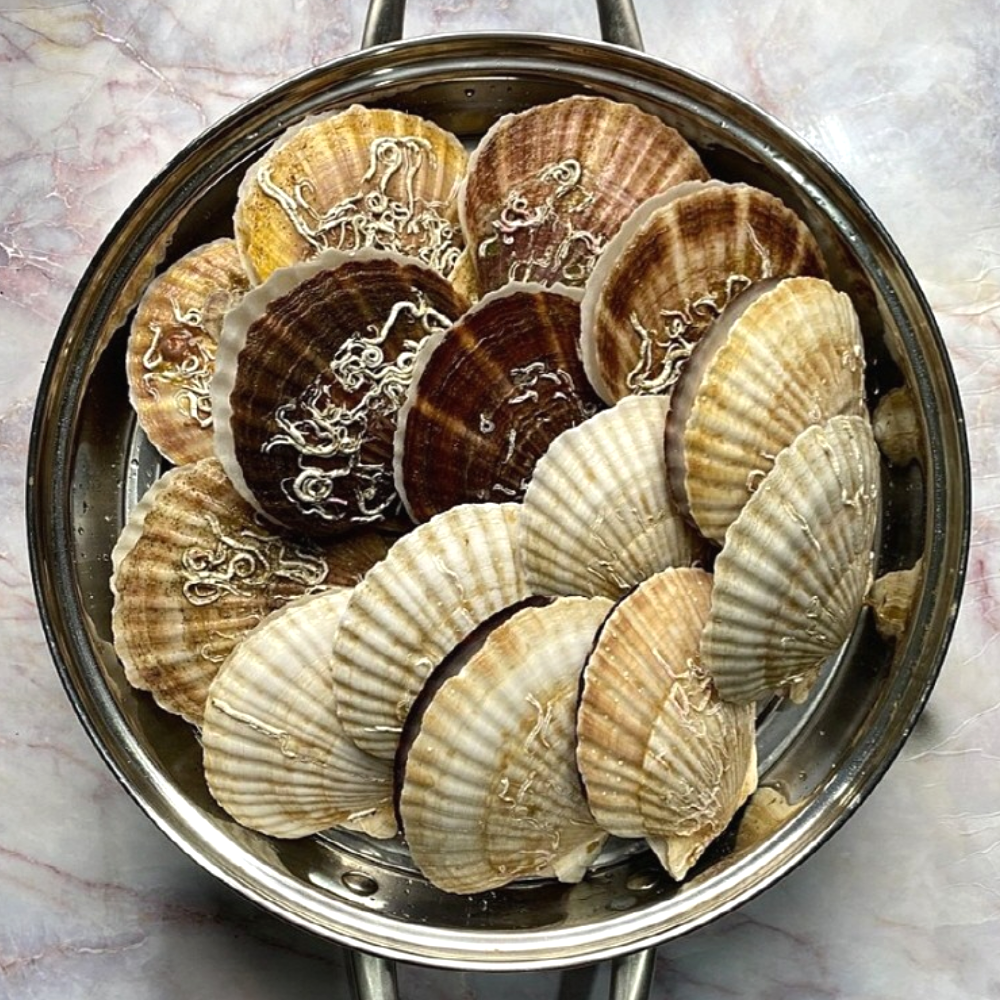 대왕 참 가리비 제철 1kg 산지직송 조개구이 조개탕 찜 - 상품 이미지