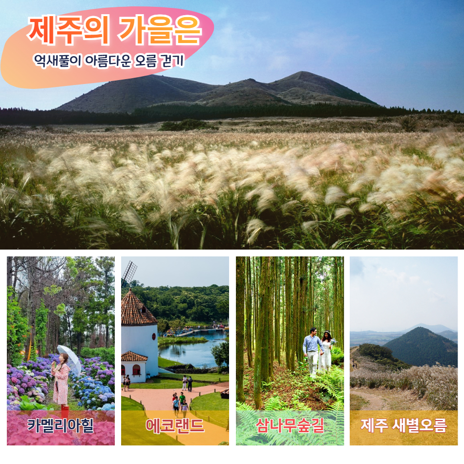 [가을제주특선] 제주알뜰특선 3박4일-전국출발 - 상세 이미지 4