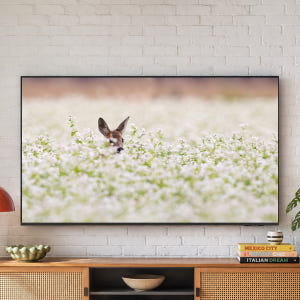 삼성 4K UHD 스마트 비즈니스 TV LH85BEHHLGFXKR 1등급... 개봉기 | 실사용 후기 - 상품 이미지 3